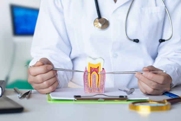 Best Orthodontic Emergency Dentist in Perry, GA